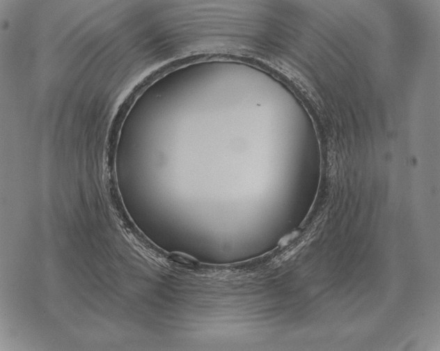 X0000070360880200606301828