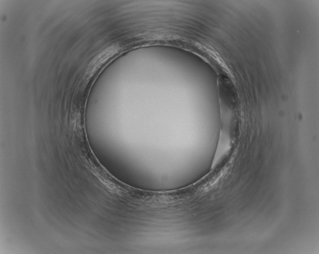 X0000070360881200606301828