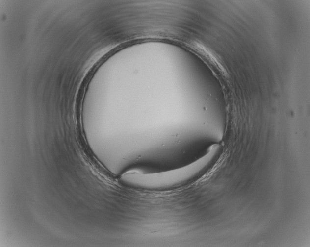 X0000070360884200606301828