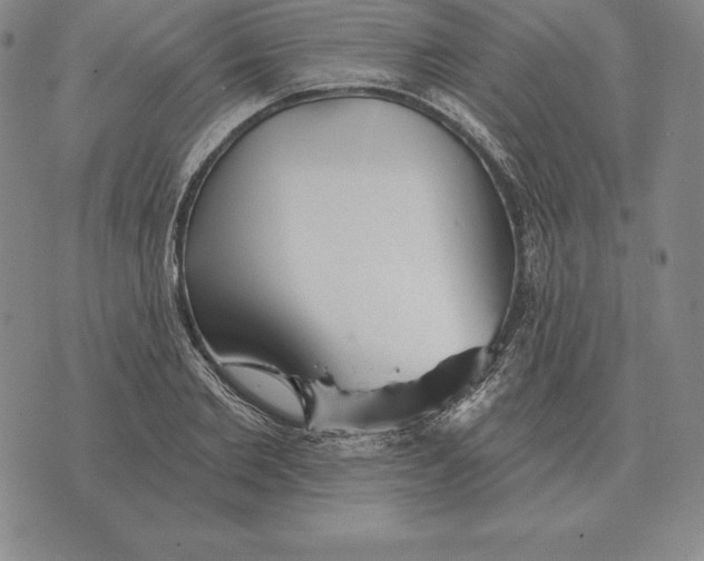 X0000070360885200606301828