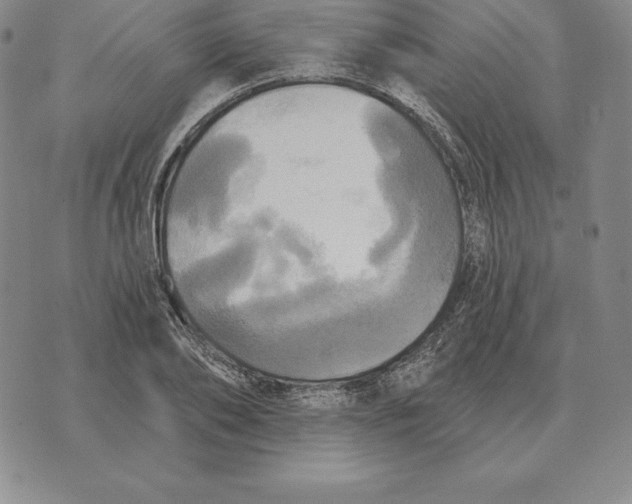 X0000070360886200606301828