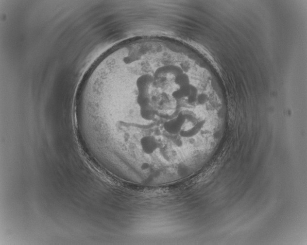 X0000070360887200606301828