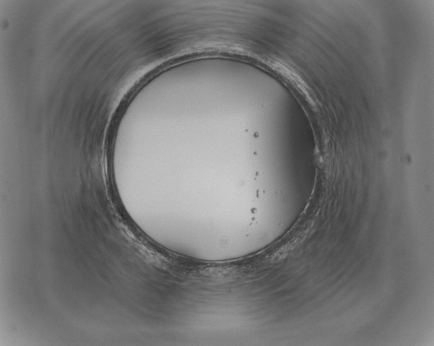 X0000070360888200606301828