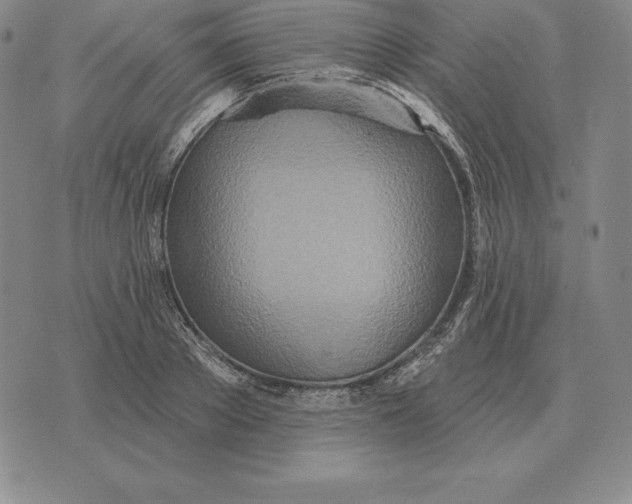 X0000070360889200606301828