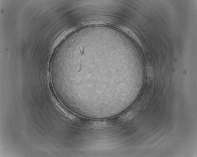 X0000070360890200606301828