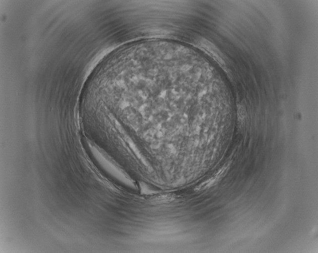 X0000070360891200606301828