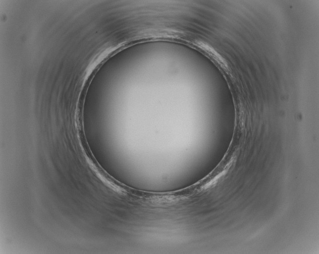 X0000070360893200606301828