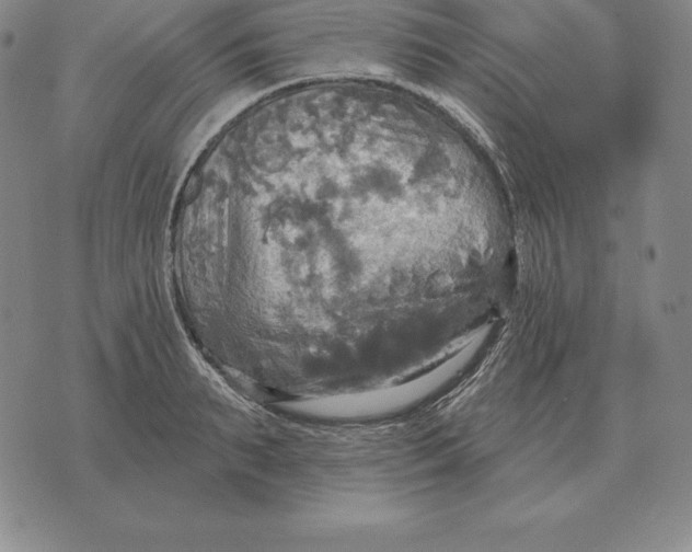 X0000070360895200606301828