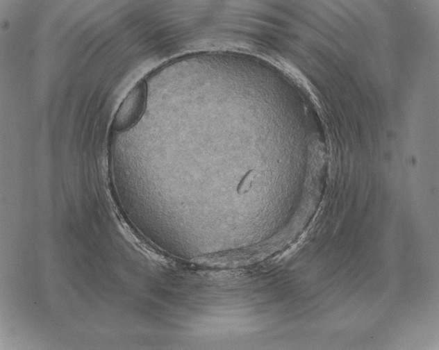 X0000070360896200606301828