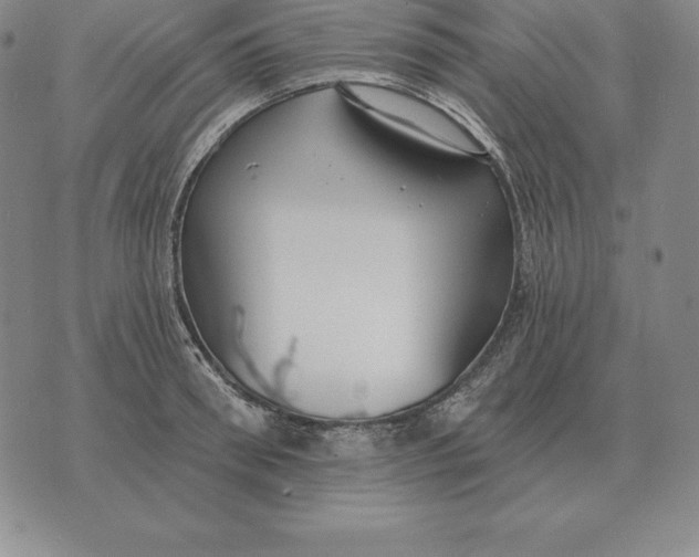 X0000070360898200606301828