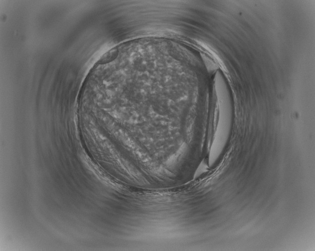 X0000070360899200606301828