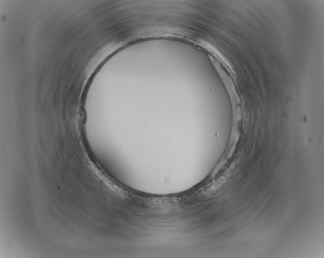 X0000070360901200606301828