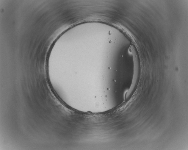 X0000070360902200606301828