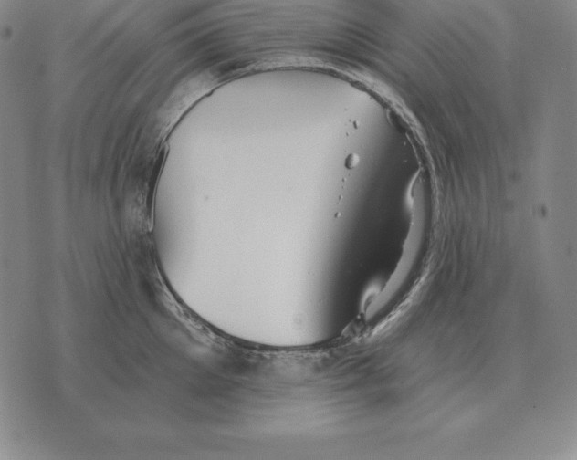 X0000070360905200606301828