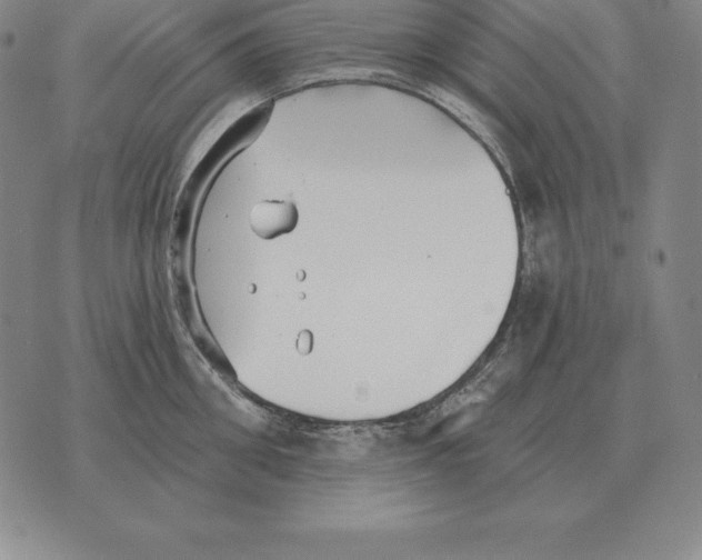 X0000070360906200606301828