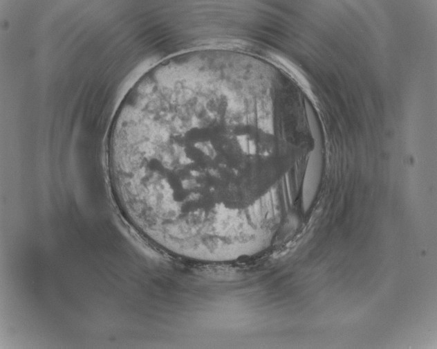 X0000070360907200606301828