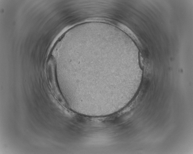 X0000070360908200606301828