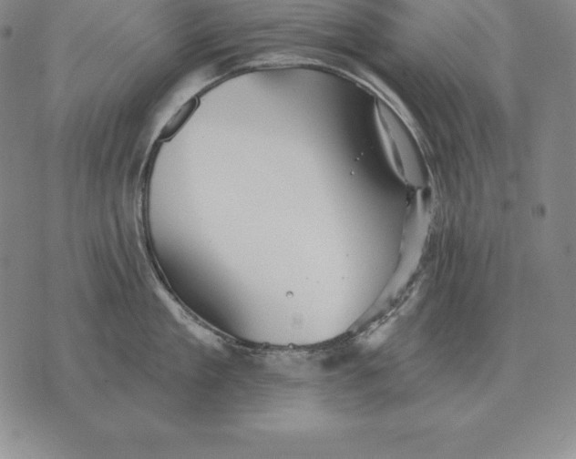 X0000070360909200606301827