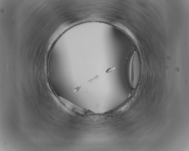 X0000070360910200606301827