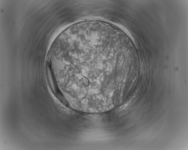 X0000070360911200606301827