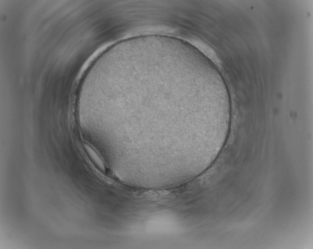 X0000070360912200606301827