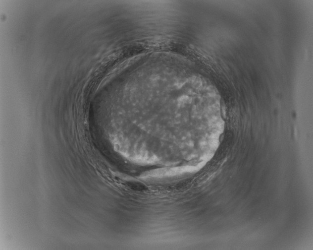 X0000070360913200606301827