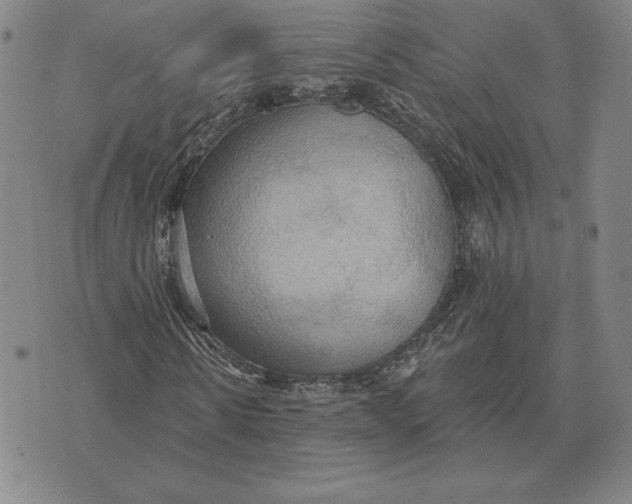 X0000070360914200606301827