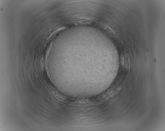 X0000070360915200606301827