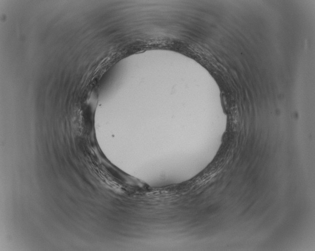 X0000070360916200606301827