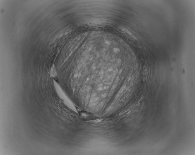 X0000070360917200606301827