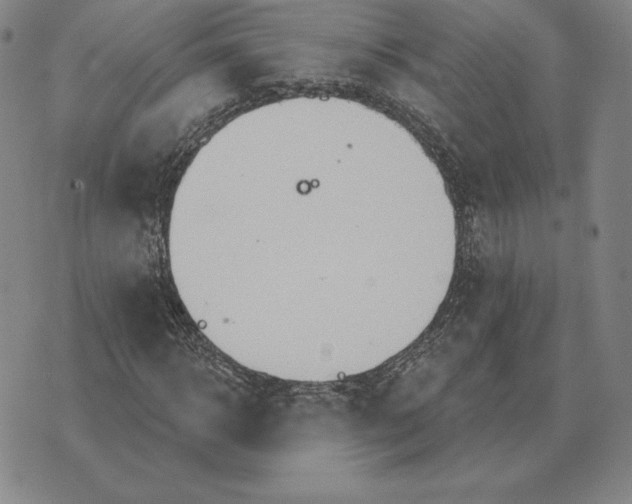 X0000070360918200606301827