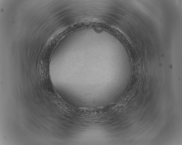 X0000070360919200606301827