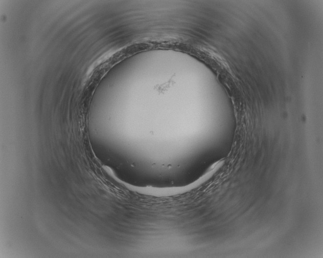 X0000070360920200606301827