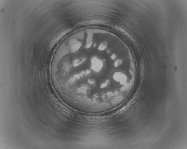 X0000070360921200606301827