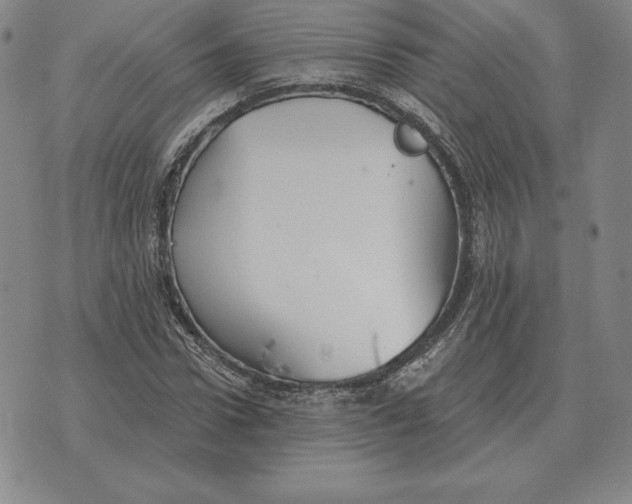 X0000070360922200606301827