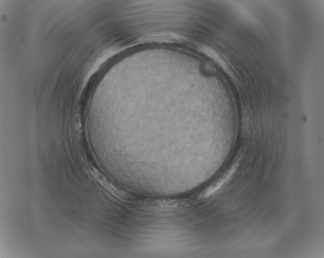 X0000070360923200606301827