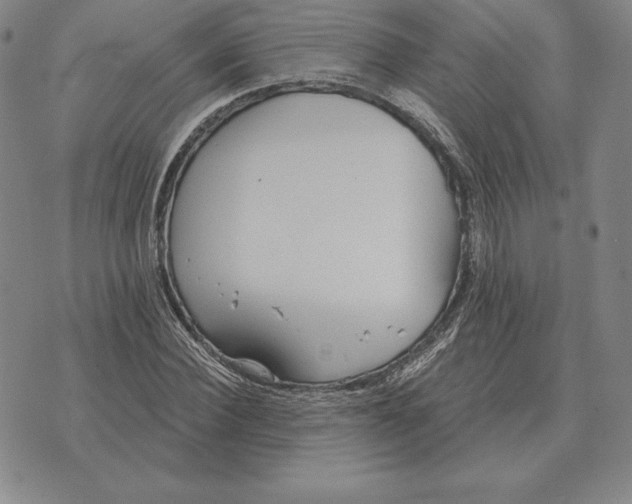 X0000070360924200606301827