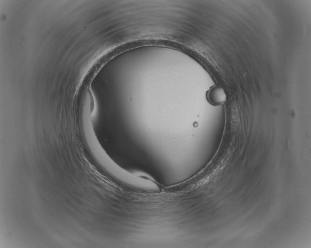 X0000070360926200606301827