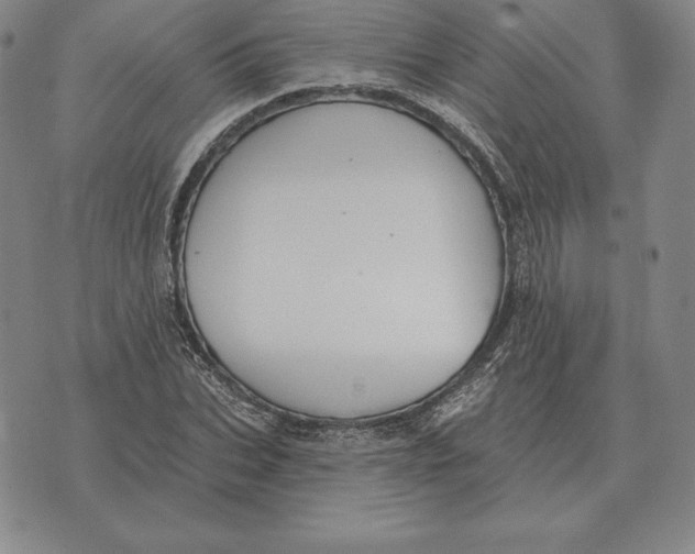 X0000070360927200606301827