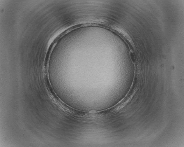 X0000070360928200606301827