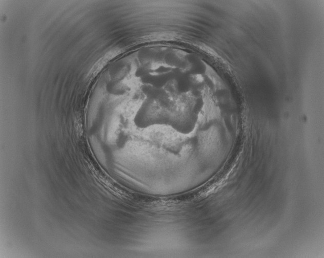 X0000070360929200606301827