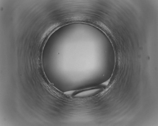 X0000070360930200606301827