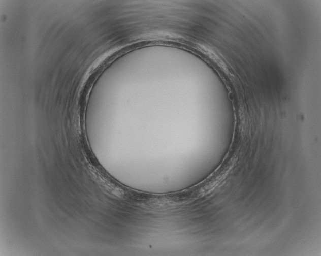 X0000070360931200606301827