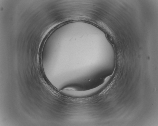 X0000070360932200606301827