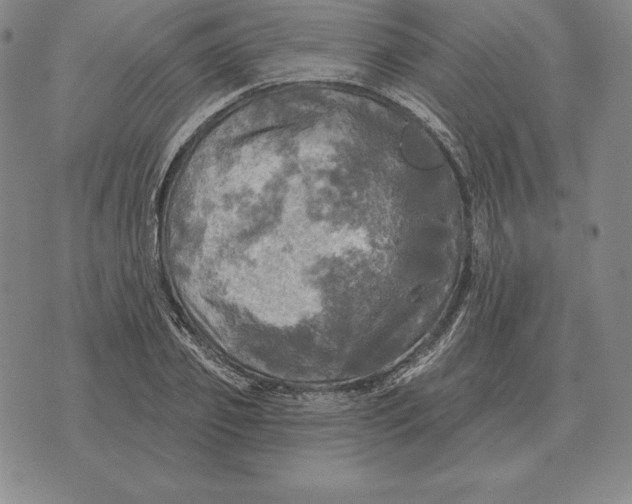 X0000070360933200606301827