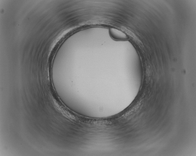 X0000070360934200606301827