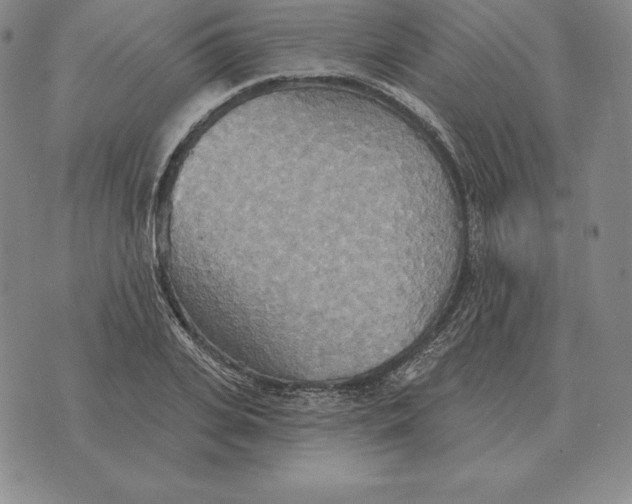 X0000070360935200606301827