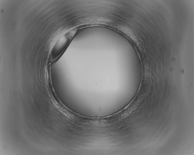 X0000070360936200606301827