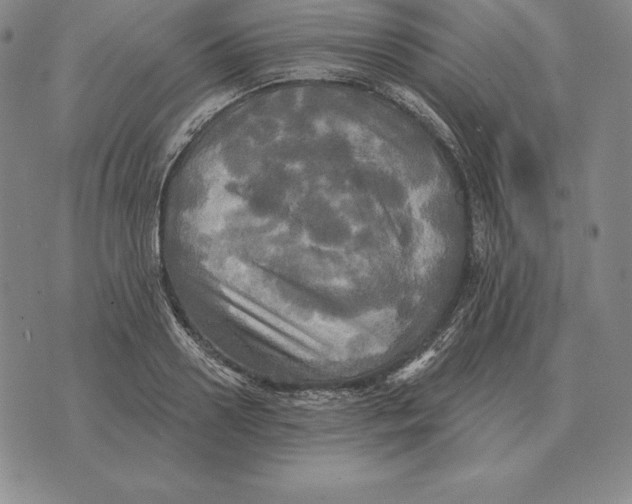 X0000070360938200606301827