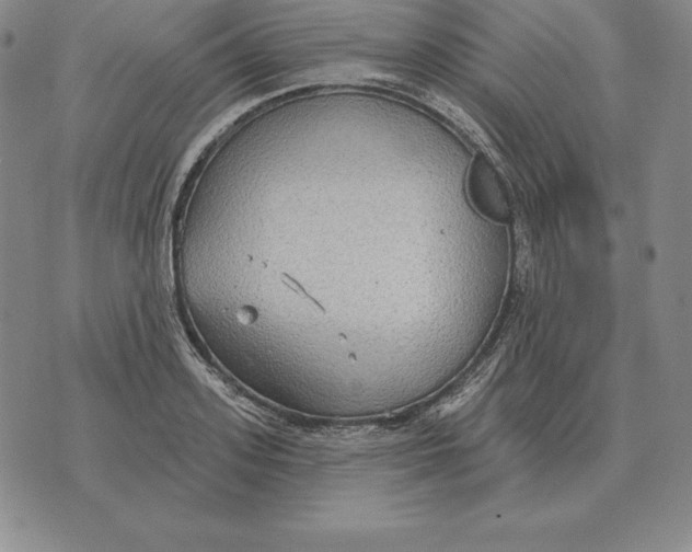 X0000070360939200606301827